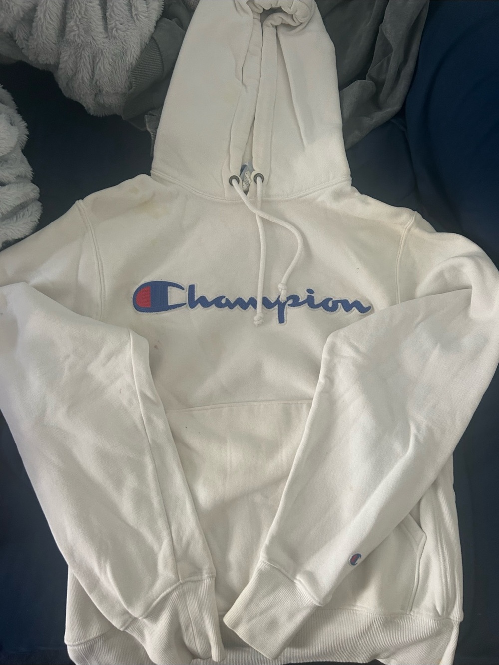 Champion hoodie